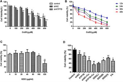 Protective Mechanism of Gandou Decoction in a Copper-Laden Hepatolenticular Degeneration Model: In Vitro Pharmacology and Cell Metabolomics